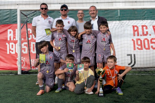 Busca 2018