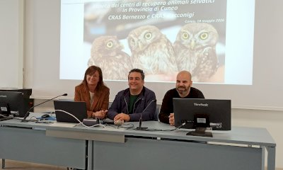 Cosa fare (e cosa non fare) quando si trova un animale in difficolt&agrave;? Ecco un numero unico provinciale