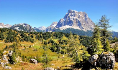 Terrazzamenti montani: la Regione finanzia 35 interventi nella Granda con il Fondo Fosmit
