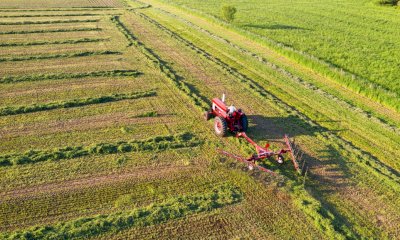 Innovazione e competivit&agrave;: finanziate dalla Regione 54 aziende agricole cuneesi