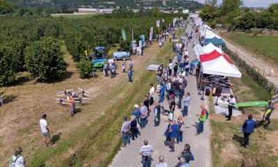 Espositori, dimostrazioni pratiche e convegni: torna a Cherasco &ldquo;Il nocciolo &ndash; Prove in campo&rdquo;