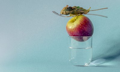 L'Universit&agrave; di Scienze Gastronomiche di Pollenzo lancia l'Executive Master in Food Medicine