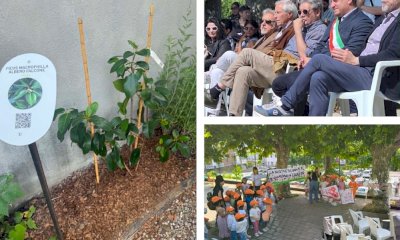 A San Michele Mondov&igrave; si pianta la talea dell'albero di Falcone