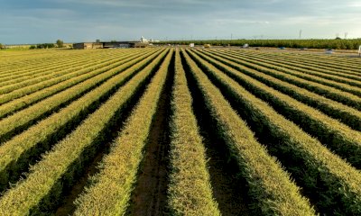 Filiere territoriali, aperti quattro bandi del Gal Tradizione delle Terre Occitane