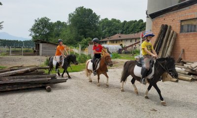 Tre settimane dedicate all&rsquo;equitazione con il Summer Camp de I Cavalieri dell&rsquo;Ascia