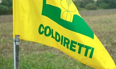 Etichettatura, Coldiretti Cuneo approva la &ldquo;stretta&rdquo; sull&rsquo;origine obbligatoria