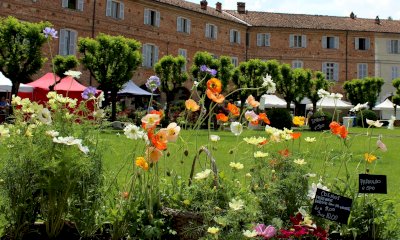 Florete Flores torna a Vicoforte tra fiori, vivai e cultura botanica