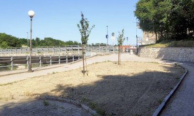 Ceva, nuove alberature sul territorio comunale: completata la piantumazione