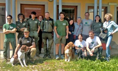 Dalla Romania alle Alpi Marittime: uno scambio internazionale dedicato alla lince