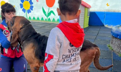 Carr&ugrave;, a scuola arrivano i cani da salvataggio: mattinata speciale per i bambini dell'infanzia