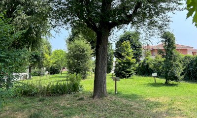 Torna anche quest'anno la festa popolare presso il boschetto di via Galimberti e Matteotti di Cherasco