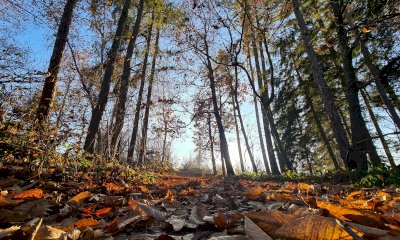 Escursione sul Mombracco: giro ad anello sulla montagna di Leonardo