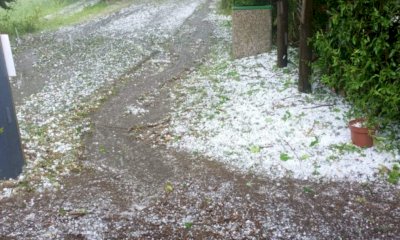 La grandine non risparmia il Parco Safari delle Langhe. Animali salvi, ma strutture devastate