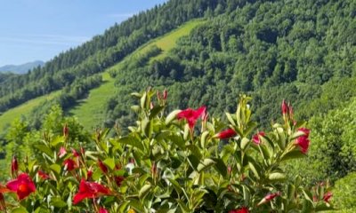 Roburent candidata al riconoscimento di "Comune Turistico": un traguardo che guarda al futuro