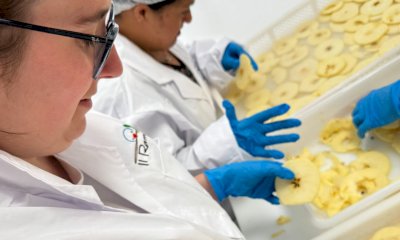 A Piasco porte aperte alla scoperta di &ldquo;Evviva&rdquo;, la frutta con l&rsquo;anima nata dal lavoro inclusivo
