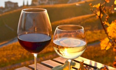 Vino, Coldiretti chiede aiuto alla Regione: "Ci sono questioni che non si possono pi&ugrave; ignorare"