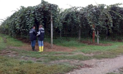 In Piemonte il lavoro nero genera un giro d'affari di quasi 5 miliardi di euro all'anno