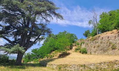 Il Forte di Ceva ritrova il suo splendore: interventi in corso per la cura della vegetazione