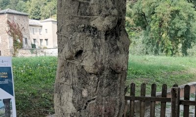 Il percorso artistico di Entre Nous si presenta al pubblico della valle Grana