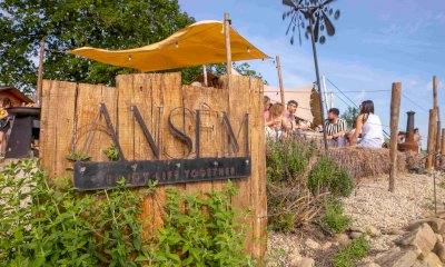 Dall’introspezione al paesaggio: Radici Connesse guarda al Festival “La Collina sale sempre”