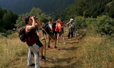 San Giovanni, birdwatching e attivit&agrave; per bambini: al via l'estate dell&rsquo;Unione Montana Valle Varaita