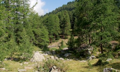 La Granda, una provincia di boschi