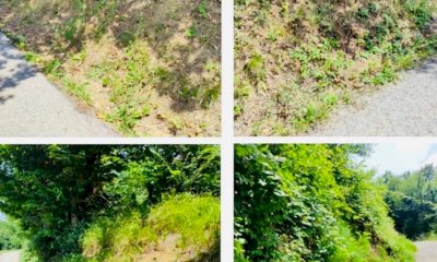 San Michele Mondovì: interventi alla scarpata in via Moie