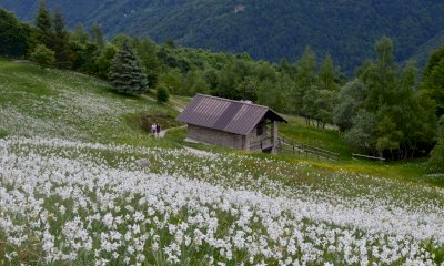 Pascoli alti e tetti di pietra: Roccaforte Mondov&igrave; blinda il futuro dell'Alpe Pizzo-Bellino