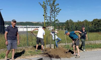 Farigliano, gli Alpini piantano venti tigli in un tributo alla storia e al futuro
