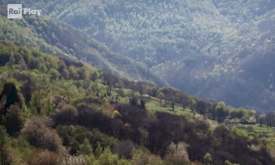 "Innesti": su Raiplay un racconto di cura tra le radici di Viola Castello