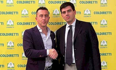 "Pi&ugrave; controlli sulla filiera agroalimentare": l'appello di Coldiretti al Ministero