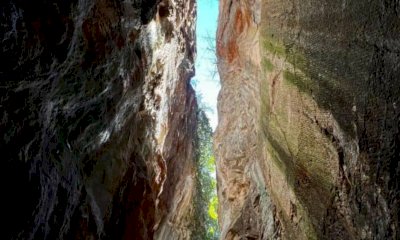Tra storia e natura: la via dell&rsquo;alabastro e il bosco della corte