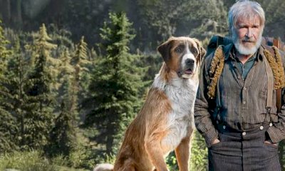 Celle di Macra, cineforum per le famiglie con il film 