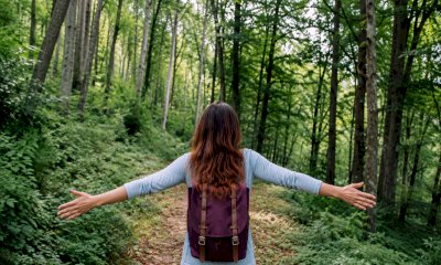 Forest bathing a Valmala: una mattinata nel bosco per rallentare e ritrovare il contatto con la natura