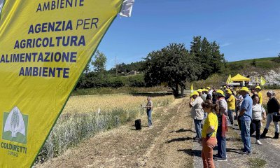 &ldquo;L&rsquo;agricoltura biologica pu&ograve; rappresentare una vera e propria svolta imprenditoriale&rdquo;