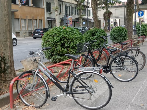 Una rastrelliera di bici