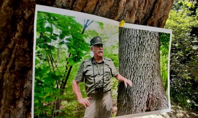 Un'eredit&agrave; verde che vive nel tempo: l'oasi di Crava-Morozzo ricorda Mauro Fissore
