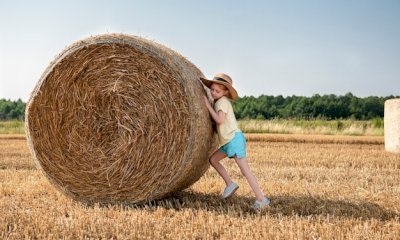 Coldiretti Cuneo: "Le fattorie didattiche alternativa sempre pi&ugrave; popolare per le vacanze"