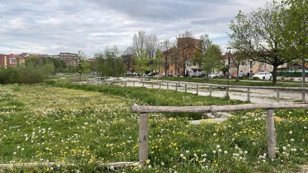 Parco Parri