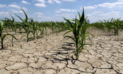 "La Regione nega la crisi climatica, a farne le spese per primi sono gli agricoltori"