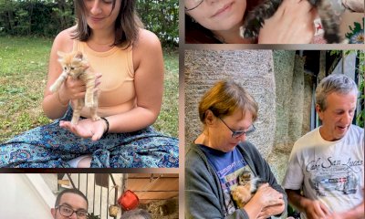Cinque gattini abbandonati trovano casa, grazie al cuore dei valdieresi