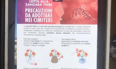 Lotta alle zanzare, ad Alba cartelli informativi nei cimiteri e monitoraggio nei siti sensibili