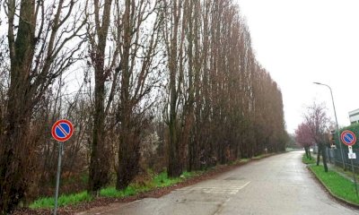 Montà, prosegue la lotta del fronte ambientalista per fermare il taglio dei pioppi