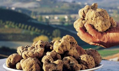 Piemonte a stelle e strisce: cucina sabauda protagonista al Summer Fancy Food Show di New York