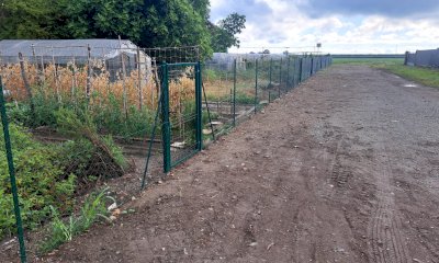 Savigliano, orti urbani: aperto il bando per l'assegnazione