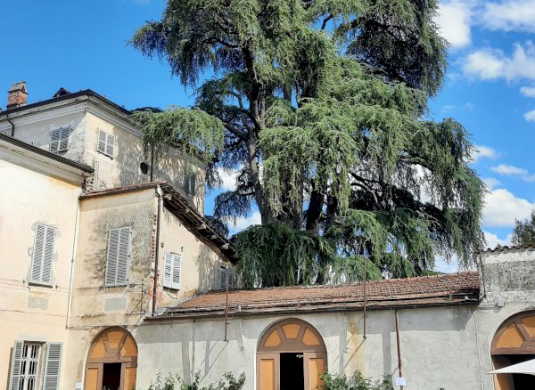 Parco del Castello dei Solaro della Margarita