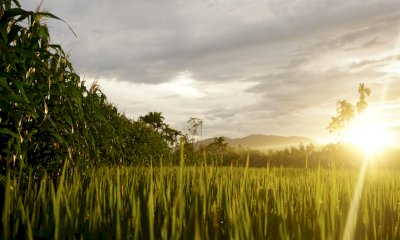 Ue, Coldiretti Cuneo: “Preoccupano scelte su salute e agricoltura”
