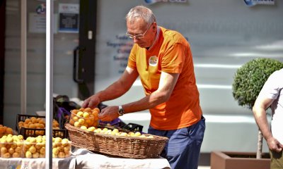 Costigliole Saluzzo: mercato, visite e spettacoli per la quinta edizione della "Fera d'la Tonda"