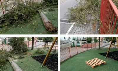 Farigliano, raffiche di vento abbattono albero nei giardinetti