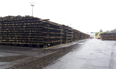 Niente inceneritore a Foresto: la Stella rinuncia al progetto su Cavallermaggiore